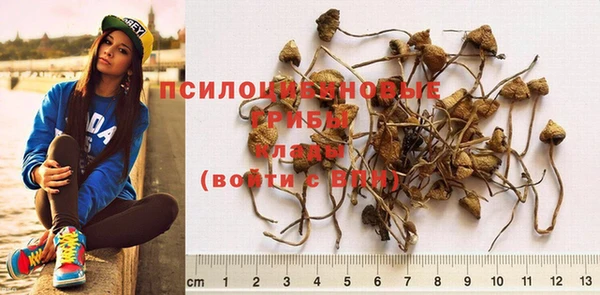 МДПВ Кукмор