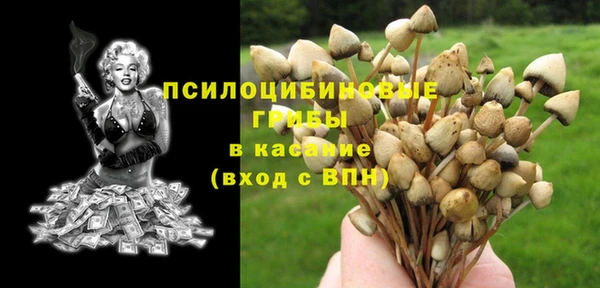 МДПВ Кукмор