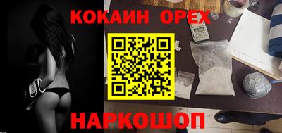 спайс Кингисепп