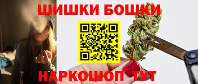 спайс Кингисепп