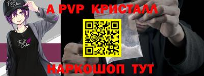 спайс Кингисепп