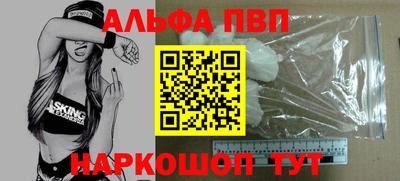 спайс Кингисепп