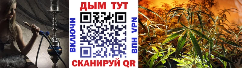 где купить наркоту  Строитель  Бошки марихуана план 